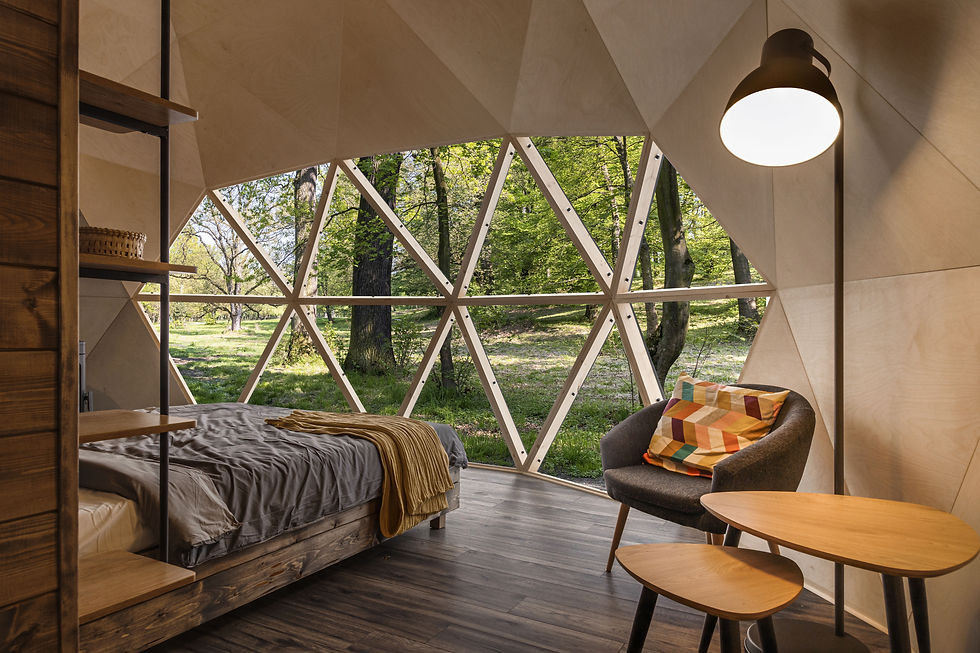 NVI DOMES - geodesic domed house (38)